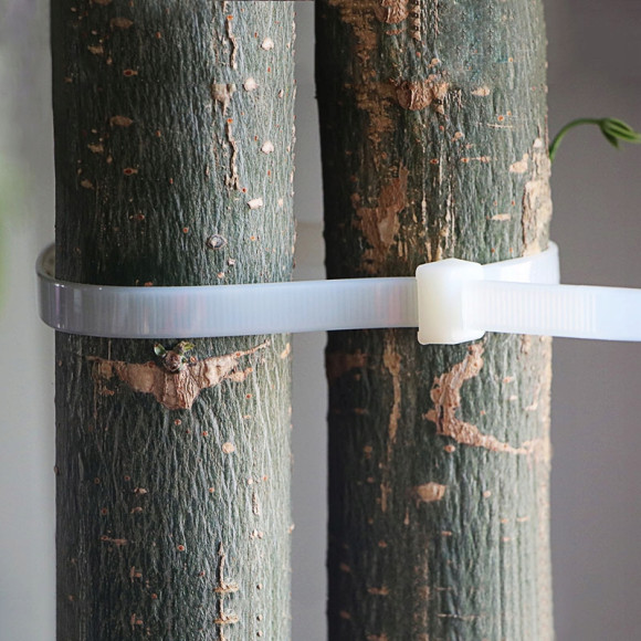 Opaska zaciskowa trytytka 4,2x300mm BIAŁA 100szt.