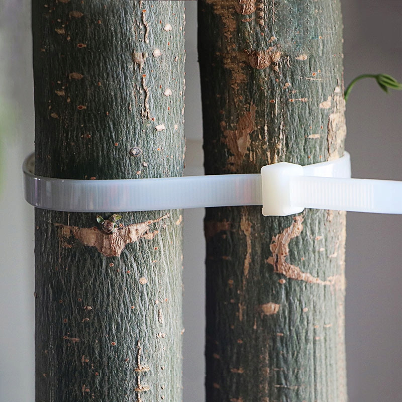 Opaska zaciskowa trytytka 4,2x300mm BIAŁA 100szt.